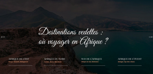 https://www.afrique-et-voyages.com